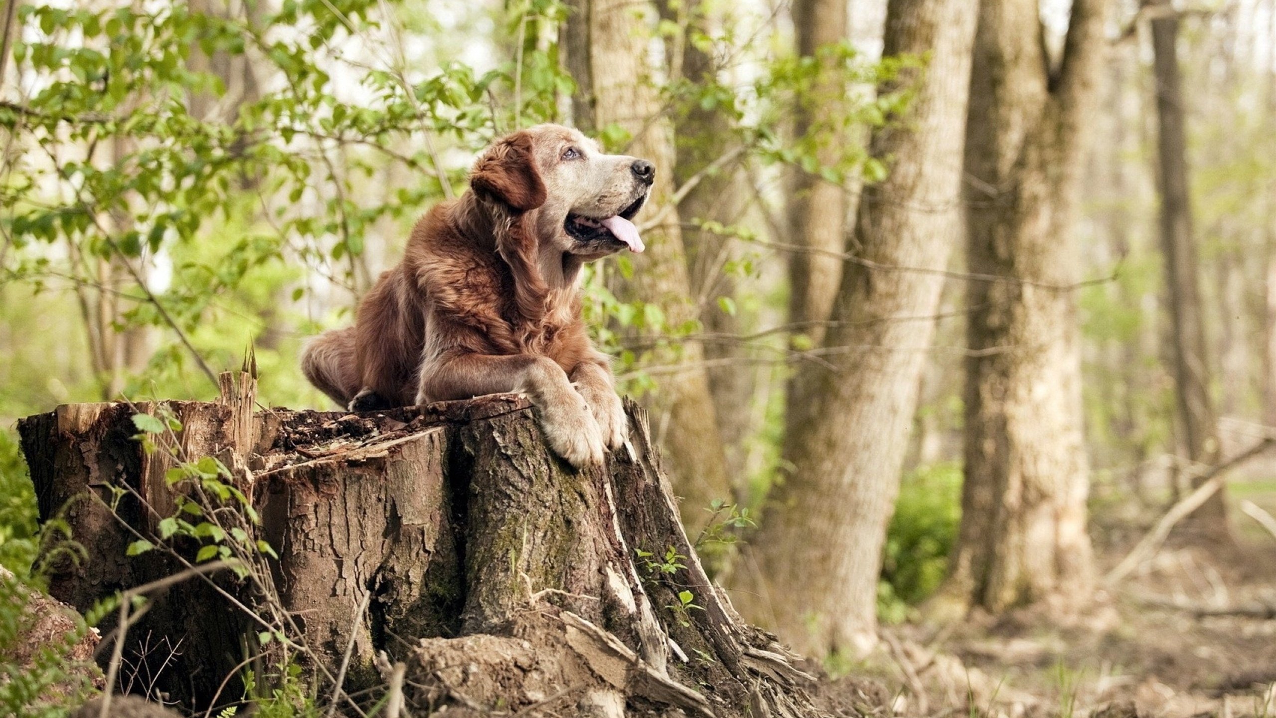 开yun体育-全国花样游泳挑战赛创新动作频频出现,花样游泳团体决赛中国